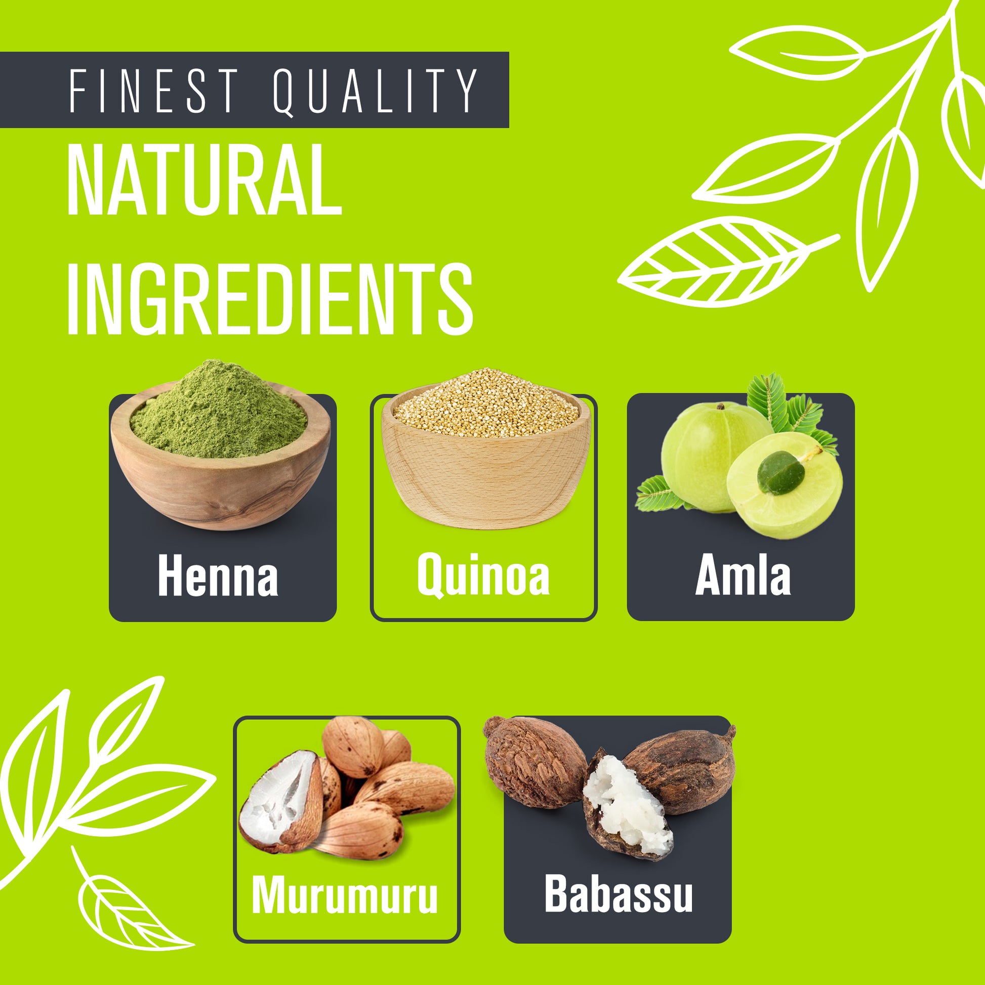 A bowl of green powder and white quinoa seeds, with nuts and fruit close-ups, complementing EcoSilver Toning Hair Mask's natural ingredients for gray and white hair care.