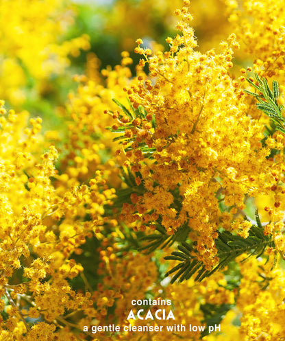 Close-up of Surya Brasil's Henna Powder Brown, 1.76 oz., showcasing yellow flowers, a plant-based hair color solution for gray coverage, scalp protection, and hair strengthening, lasting up to 30 washes.